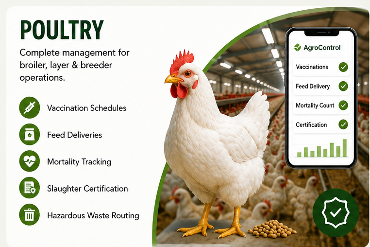 poultry